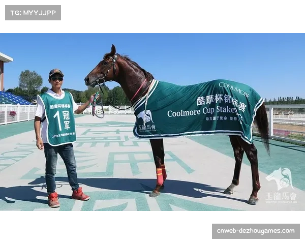 新疆台球公开赛哈密站即将开幕,冠军奖金3万元 新疆台球公开赛哈密站即将开幕,冠军奖金3万元